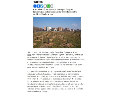 Selva Urbana e Compagnia di San Paolo per l’ambiente: 500 nuovi alberi per aiutare il verde di Torino